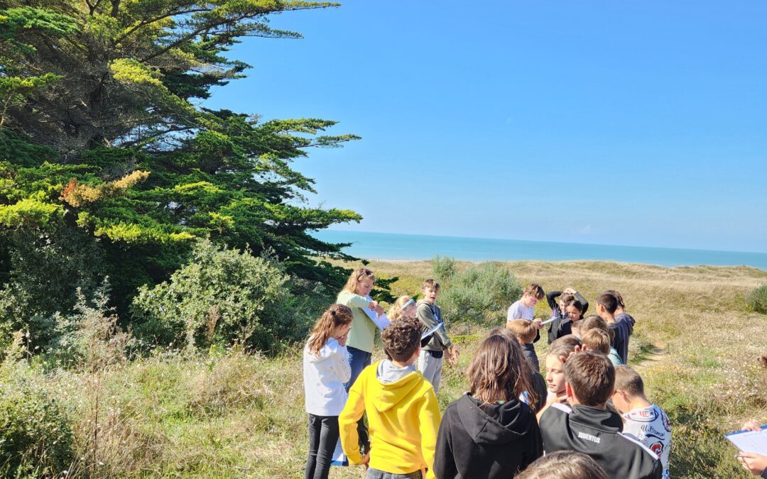 Séjour à Bouin